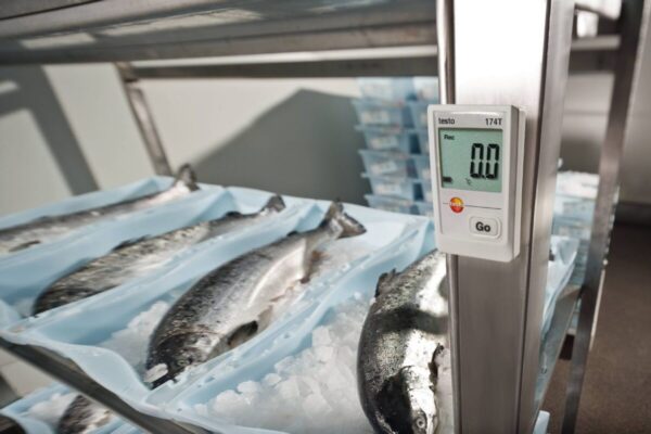 Rejestrator temperatury testo 174 T - obrazek 4