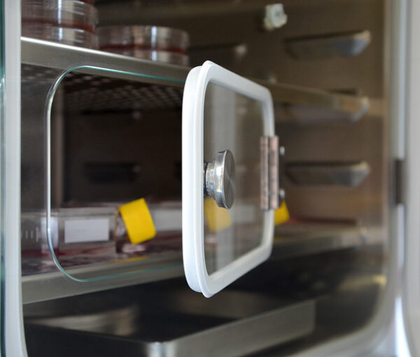 Inkubator CO2 Binder ze sterylizacją termiczną i sterylizowanym czujnikiem CO2 seria CB - obrazek 3