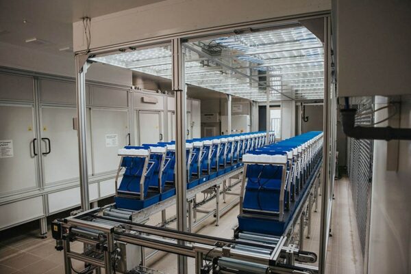 System korzeniowy PlantScreen