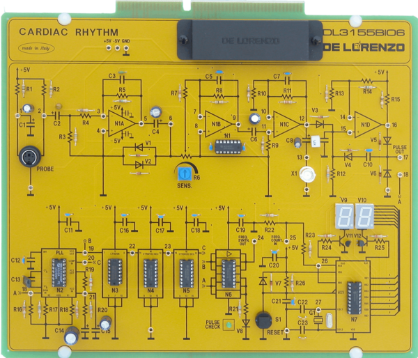 CARDIAC RITHM DL 3155BIO6