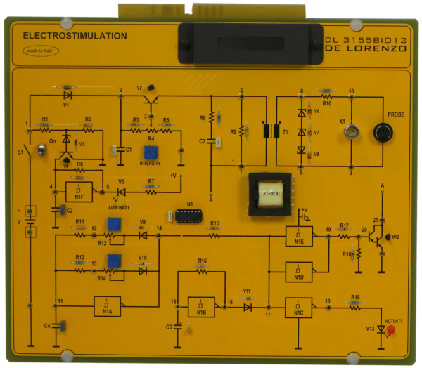 ELEKTROSTYMULACJA DL 3155BIO12