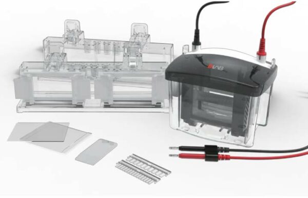 Pionowy zbiornik do elektroforezy DL-MINI04