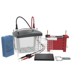 Zbiornik do elektroforezy transferowej DL-ZY03