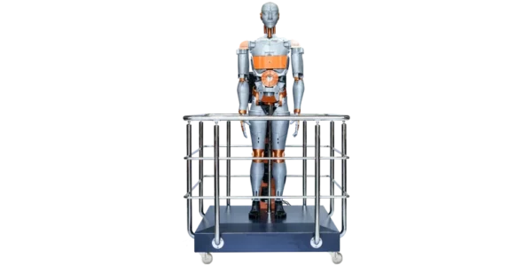 Inteligentny robot dwunożny AI