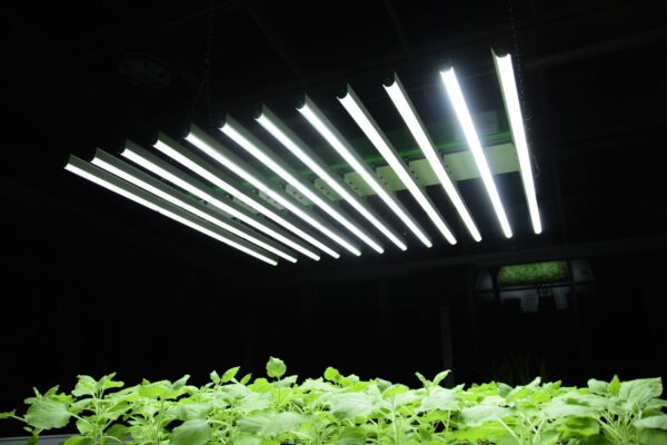Compact LED Bars