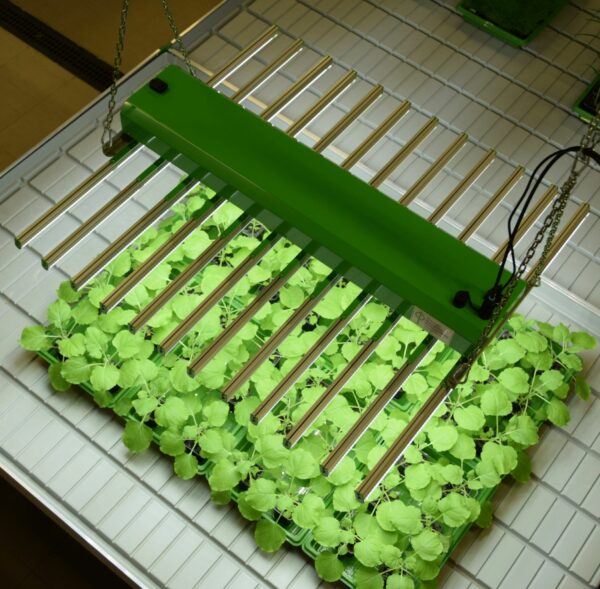 Compact LED Bars