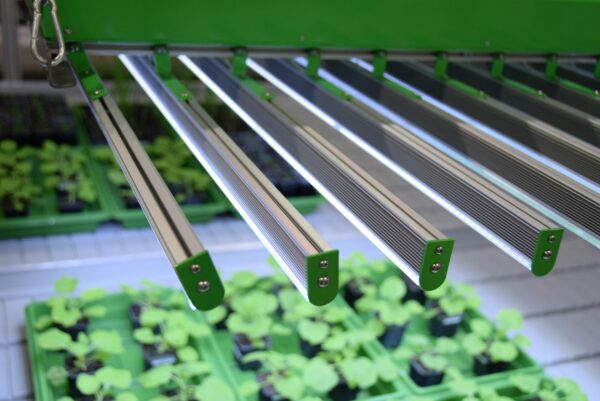 Compact LED Bars