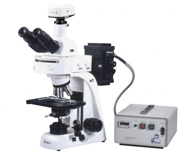 Mikroskopy fluorescencyjne serii MT6000